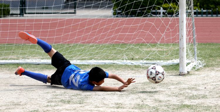 开发区实验学校：美矣美矣，开实芬芳“桃李”