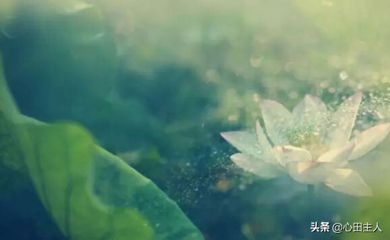 阿弥陀佛是怎样成佛的