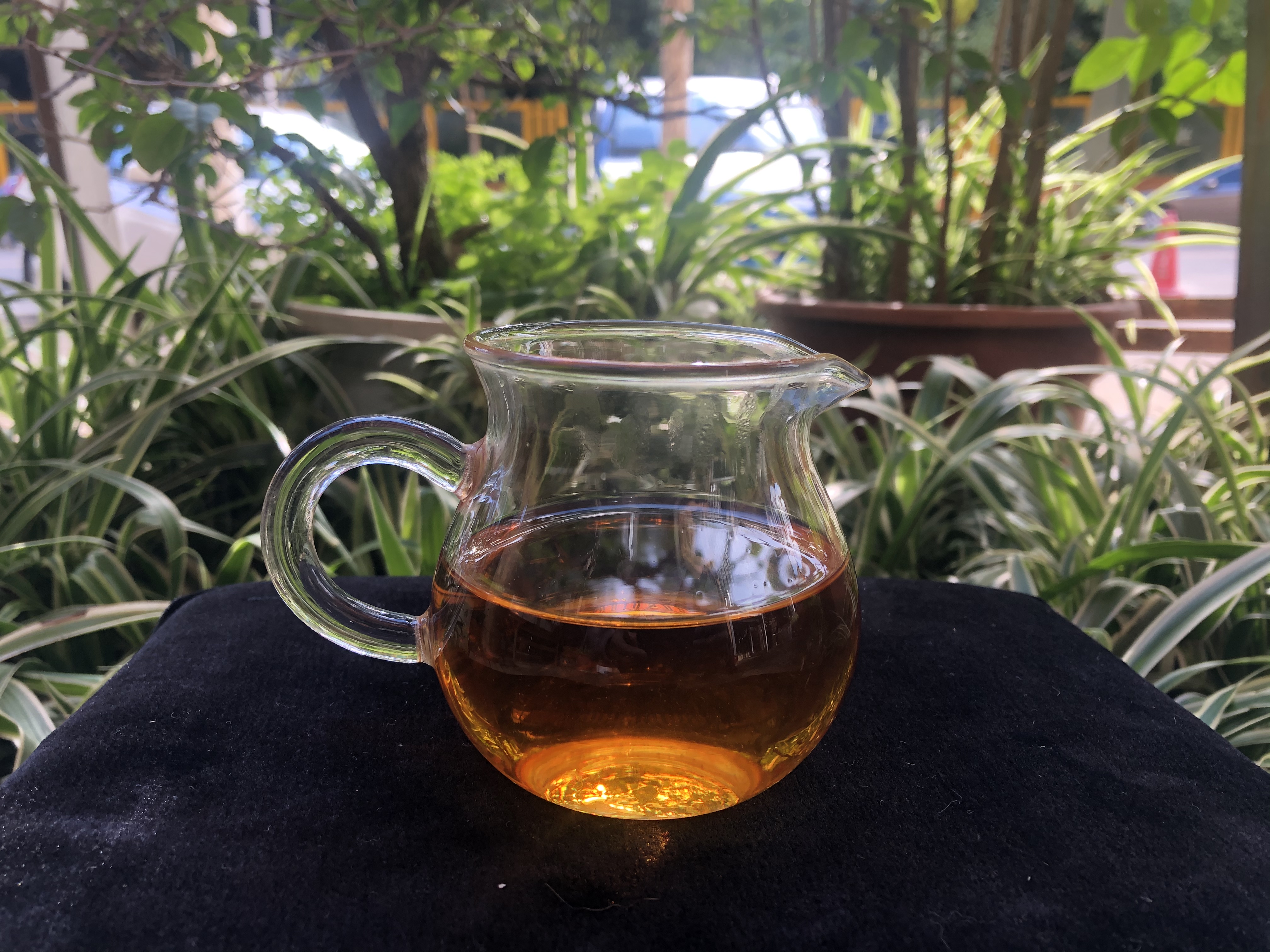 野生红茶(《老徐鉴茶》第471期：2021野生古树红茶品鉴报告)