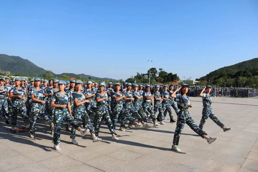 高职高考必看｜全面了解广州珠江职业技术学院