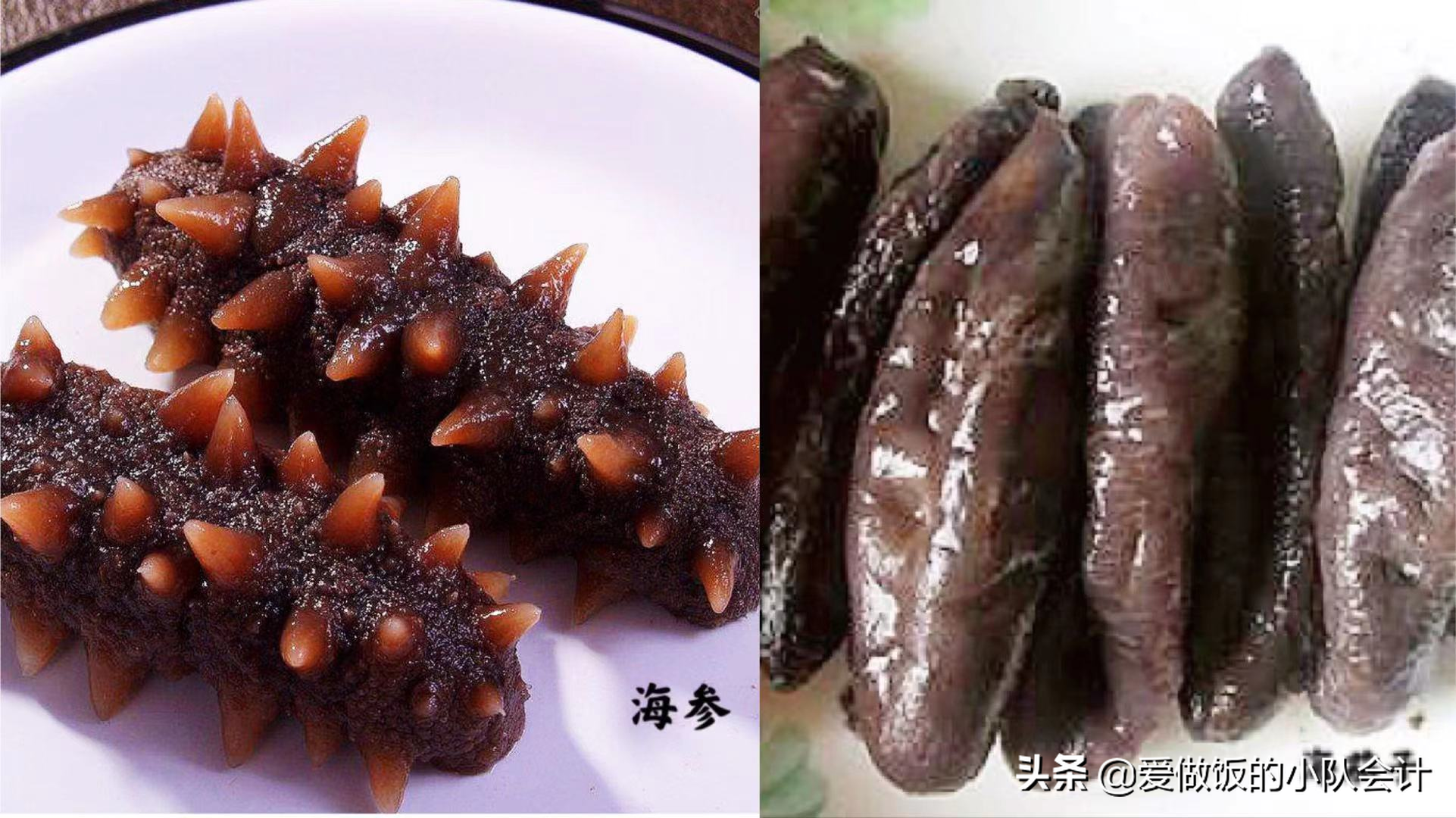 海茄子的家常做法（详解海参和海茄子的区别）