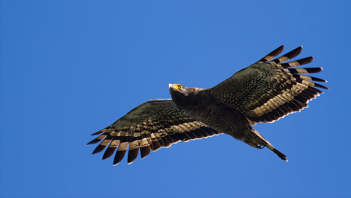 如何写出亮眼的议论文题目