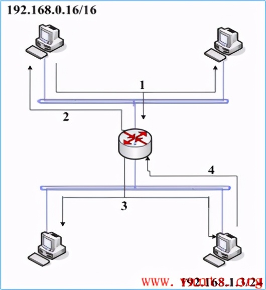 「网工小白必备」全网最详细的网络基础之ARP协议