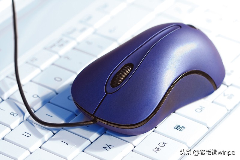 鼠标不动了怎么办（鼠标不动了怎么办？分享鼠标常见问题及其解决方法）