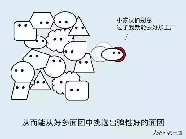 什么是高考,你明白吗?一图看懂