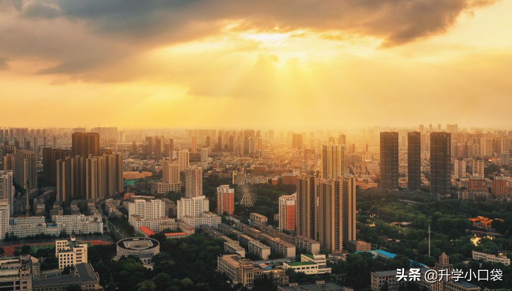 东北大学这两个专业的学生，不能申请转专业，报考之前要了解清楚