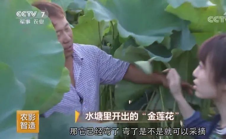 每个幻想暴富的中国人，都在这档节目里做过梦