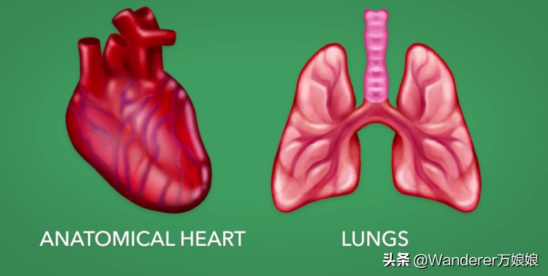 emoji手势含义图解大全（emoji各个手势意思）