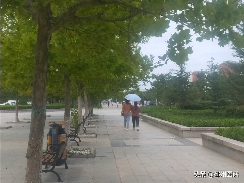 美丽的校园，威海职业学院