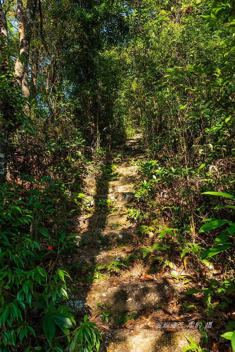 东岳是什么山(广东有座海拔1452米的东岳山，风景不输泰山却鲜为人知)