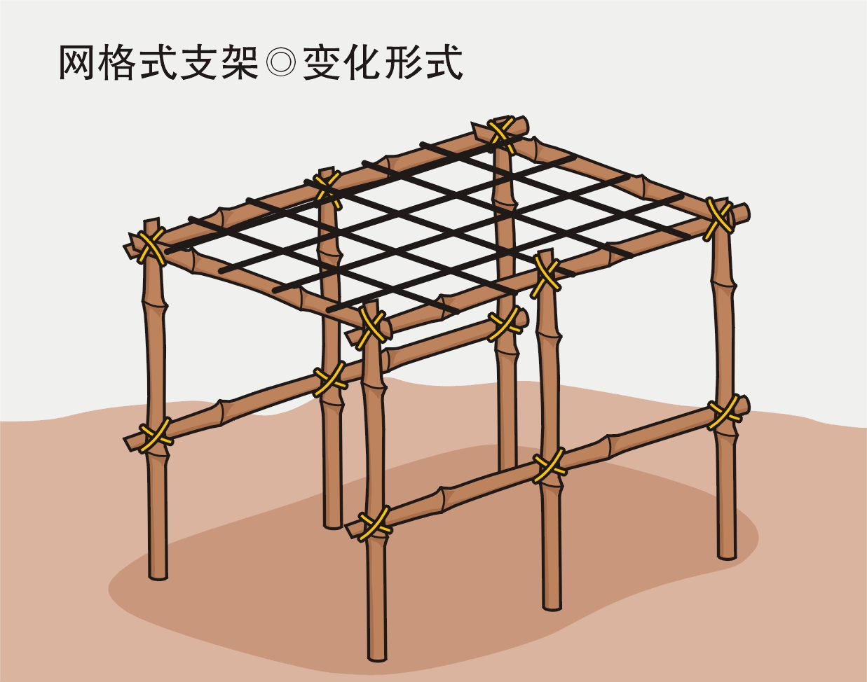 如何搭立支架，引导农作物生长？4种类形支架来助力