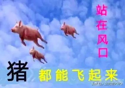 交通事故处理程序规定,交通事故处理程序规定2021