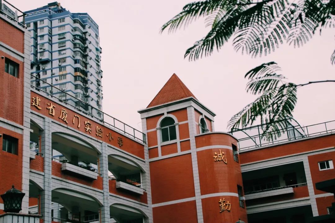 老破小一平10万+！我们走遍厦门18所名校，为你曝光最贵学区房！