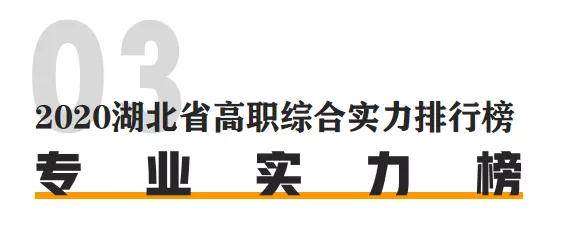 湖 北 高 职 综 合 实 力 排 行 榜