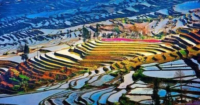 十大必去的云南旅游景点，你去过几个？