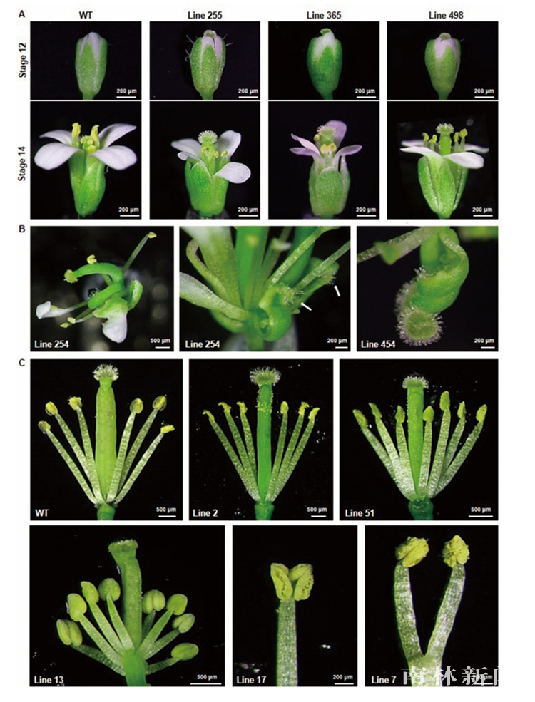 重大突破！南京13项科研成果获国际关注！