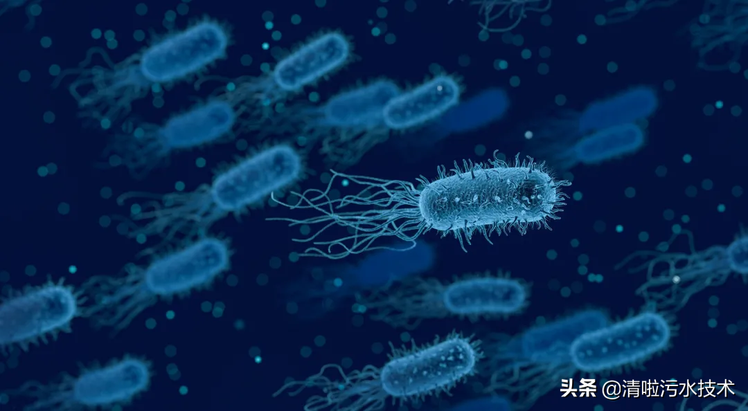 入门级污水处理,全程无废话,赶紧收藏起来,避免找不到 - 多环保