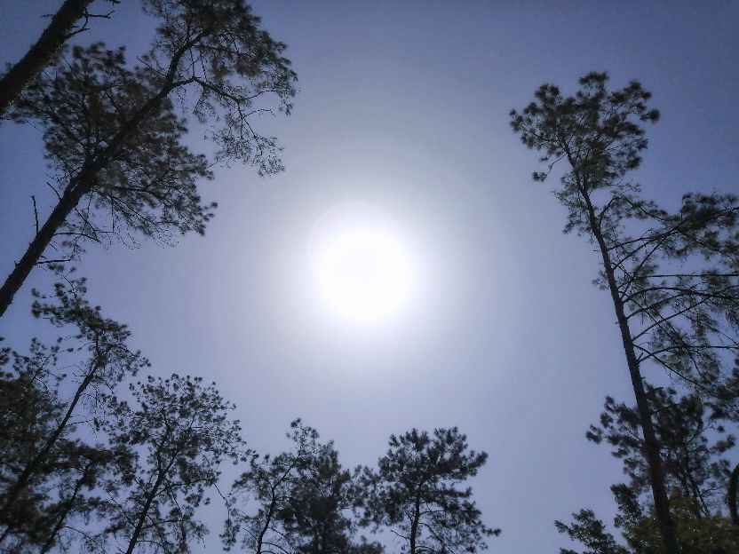 开学两周，我眼中的贺州学院