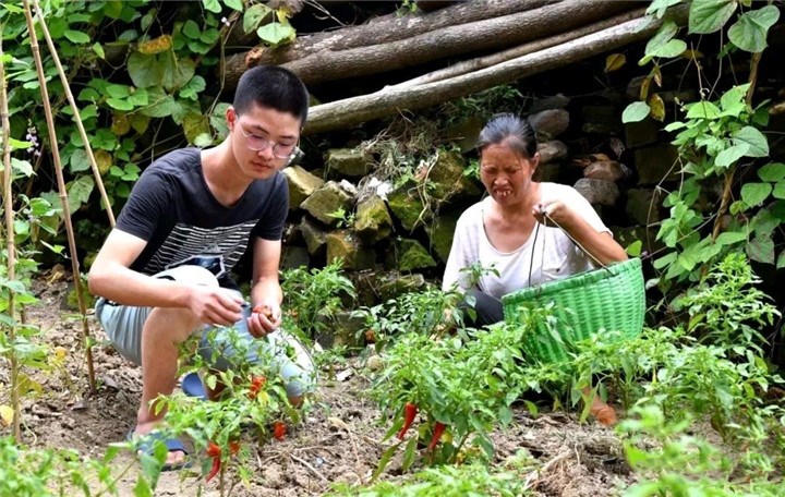 父母双盲，没用过手机的贫困男孩，高考却以总分685考上清华