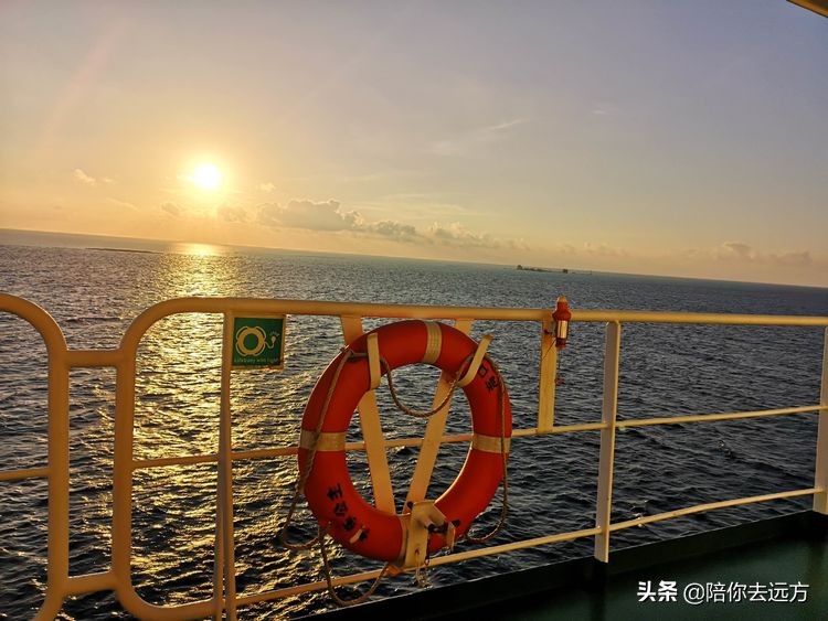 西沙~南海中的一片莲