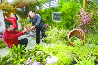 一湾妫水一城花：北京世园会呈现三千年的园艺传承