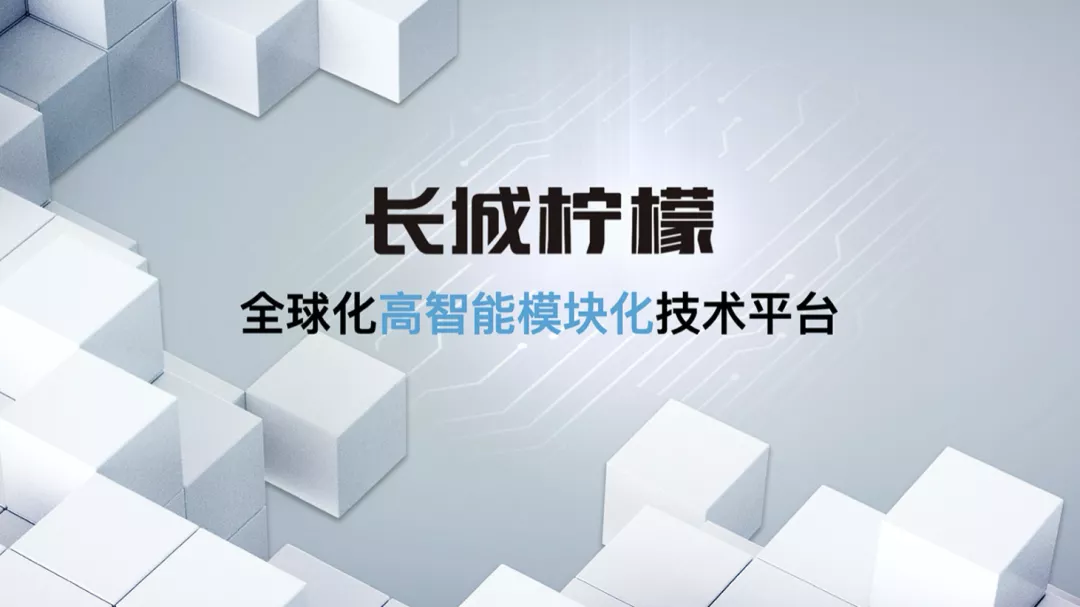 未来的长城汽车什么样？看这两款新SUV就知道