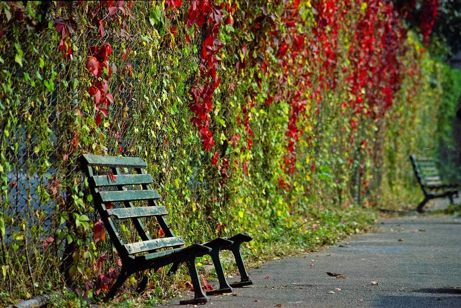 他是北京大学最不愿提起的学霸，令母校蒙羞，令家乡受辱