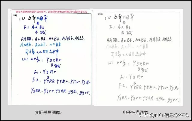 2020年高考答题卡样式曝光！这些答题失分点需尽早规避