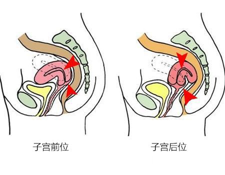 测孕纸使用方法及怀孕50天彩超检查结果解读