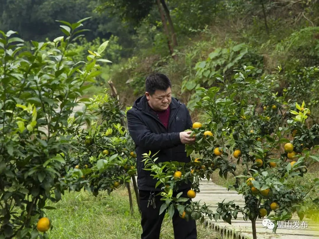 乘客您好，您乘坐的G2020次列车即将到站…