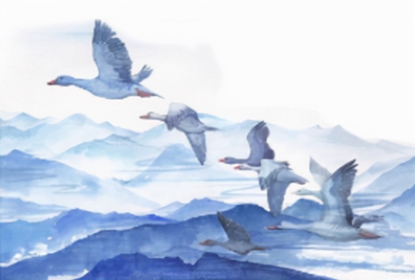 鹔怎么读？鹔的读音和意思