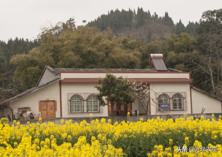 农村住宅可不是随便就可以建立的，有很多说道。