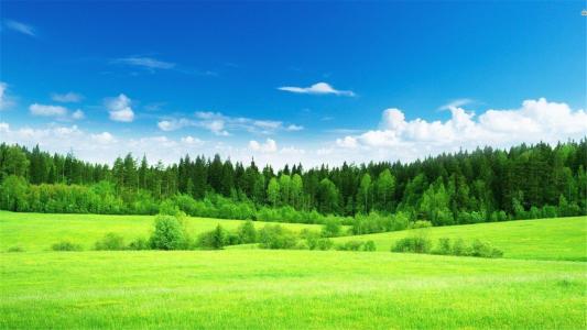 古诗欣赏-杜甫经典诗十首