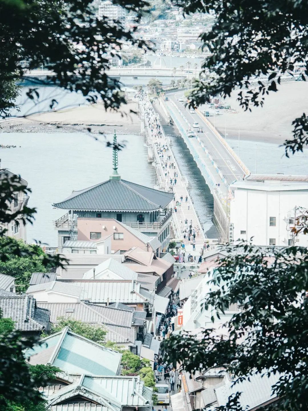 学习 | 日语里意境美好的词汇·夏日篇