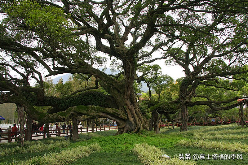 福建究竟为什么会有如此大的反差(福建这个城市成功跻身准一线，网友却纷纷吐槽表示不服，这是为何)