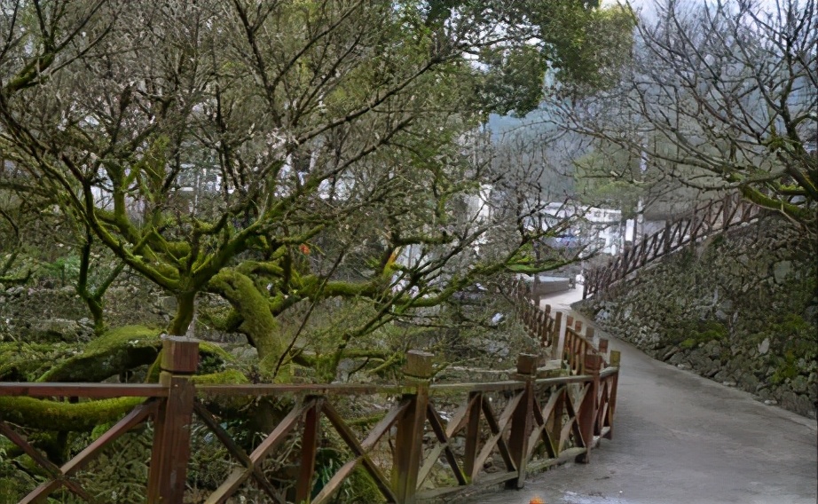 温州文成这7个古村落，有宁静秀美的山水中风景