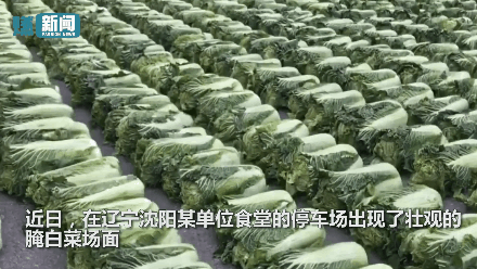 大学取快递难是受“黑恶势力”干扰？青岛工学院致歉【三分钟法治新闻全知道】