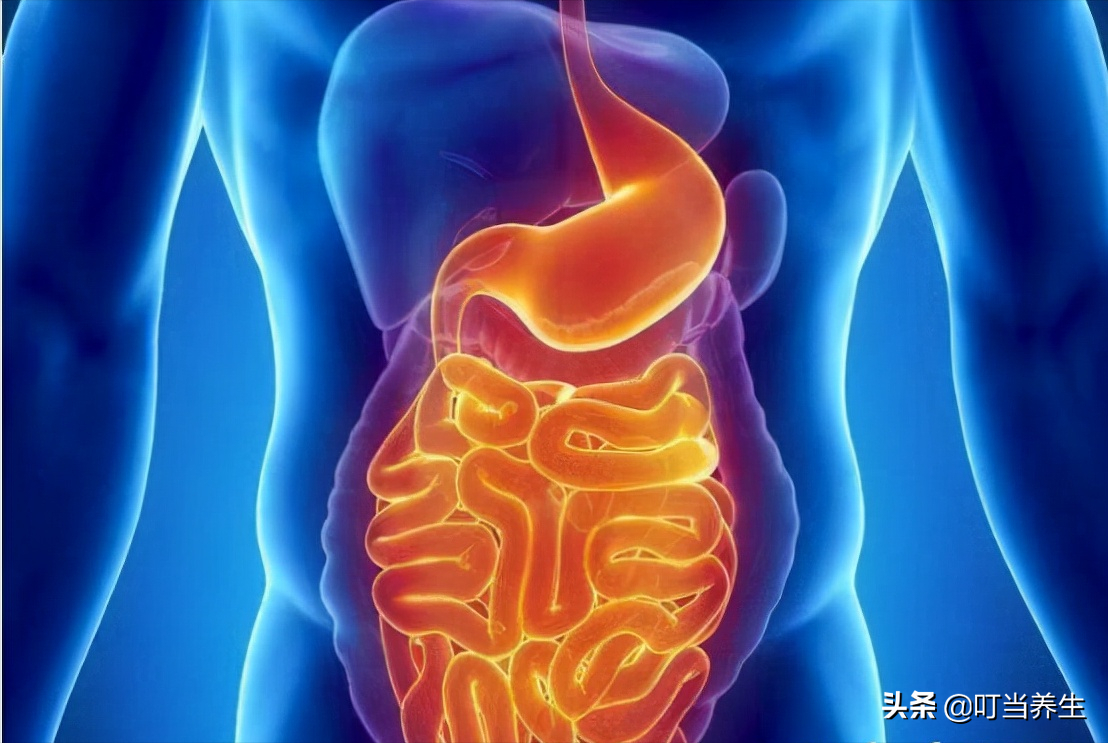 肺的主要功能便是提供人体的呼吸,同时也是人体重要的造血器官,在心脏