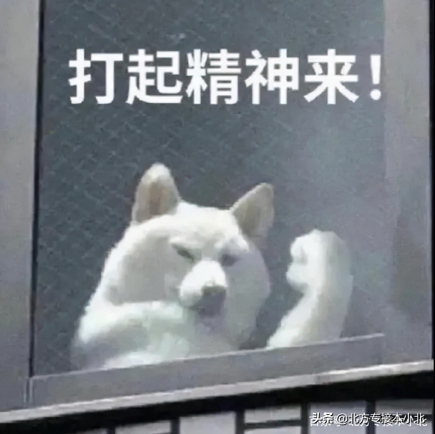 河北專接本容易考過的專業（專接本考上的幾率大嗎）