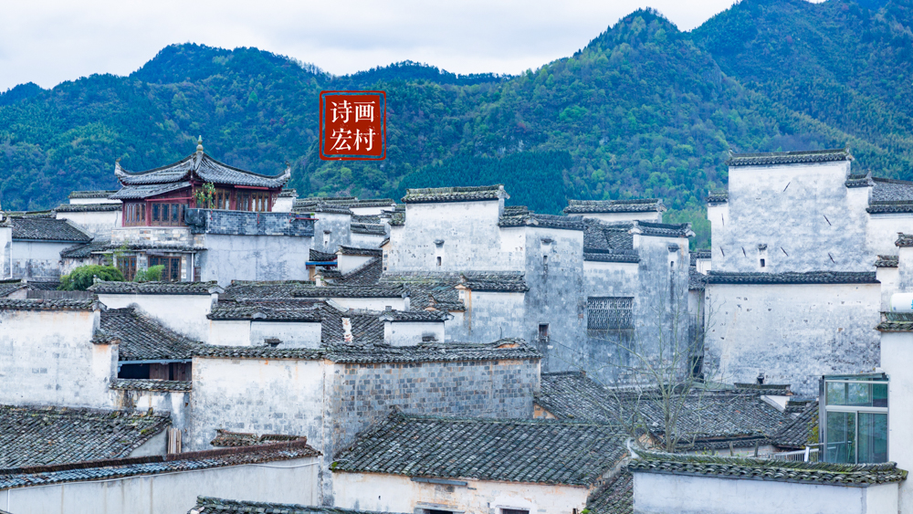 卧虎藏龙拍摄地 卧虎藏龙跳崖取景地-进行号