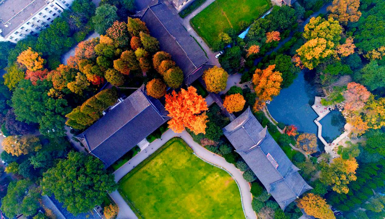 坐标南京，偶像剧拍摄打卡地！2019高考志愿填报，向这所