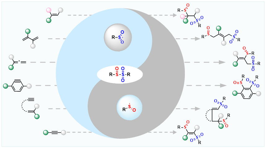 聚焦全球危机！东北一高校连出重磅成果，获国际关注