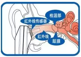 杭州魏老爸实测7款体温计,比较准的只有这2款!