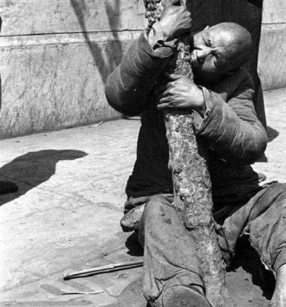 古代闹饥荒,灾民为何放着河里的鱼虾不抓,宁可吃草根啃树皮?