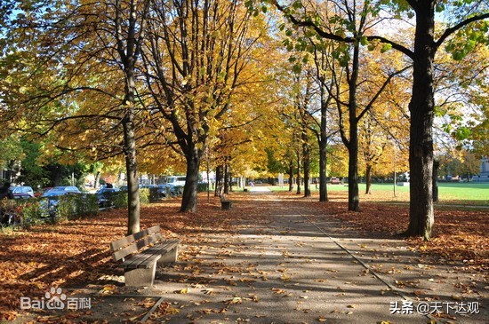 慕尼黑工业大学|是德国大学在当今世界上的标志,世界顶尖综合大学