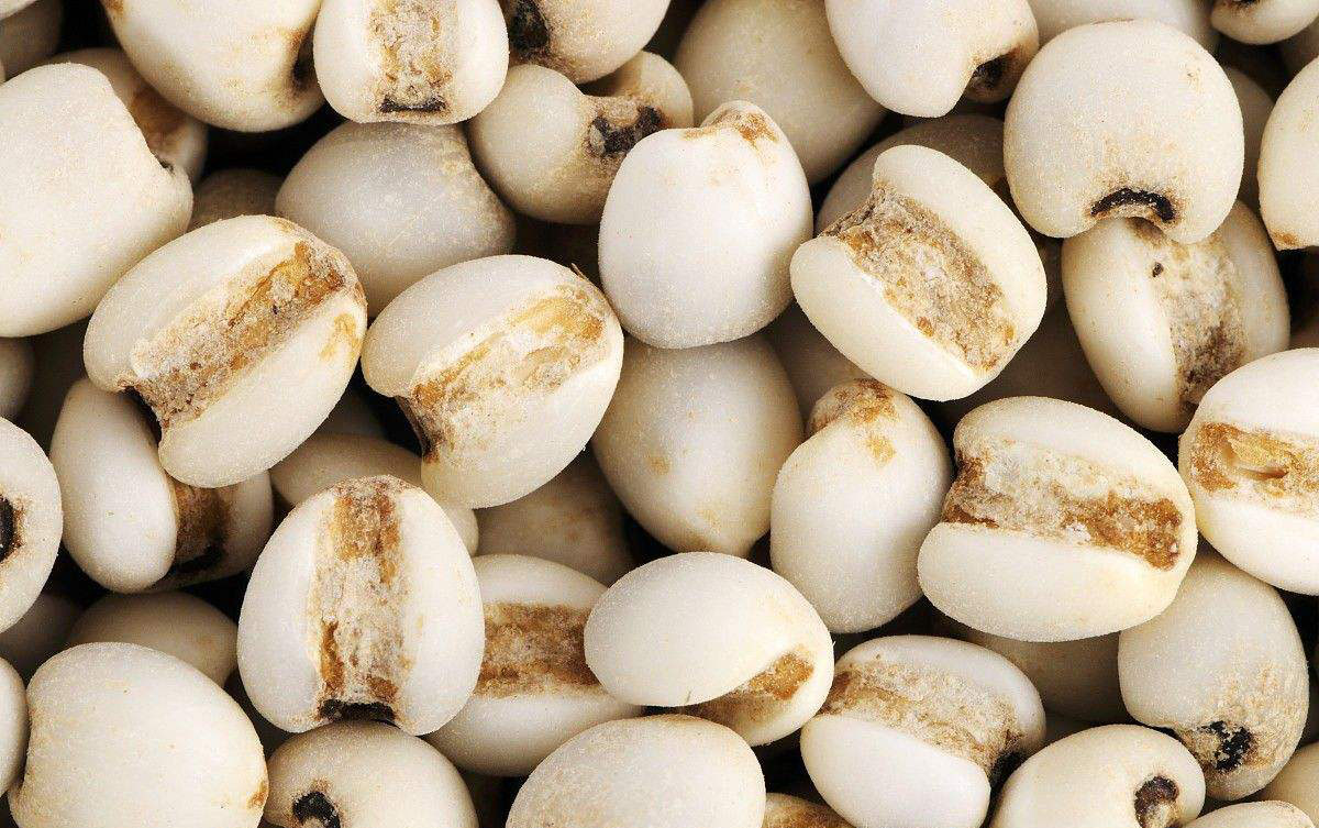 (薏苡仁)"五岭炎蒸地,三危放逐臣.几年遭鵩鸟,独泣向麒麟.