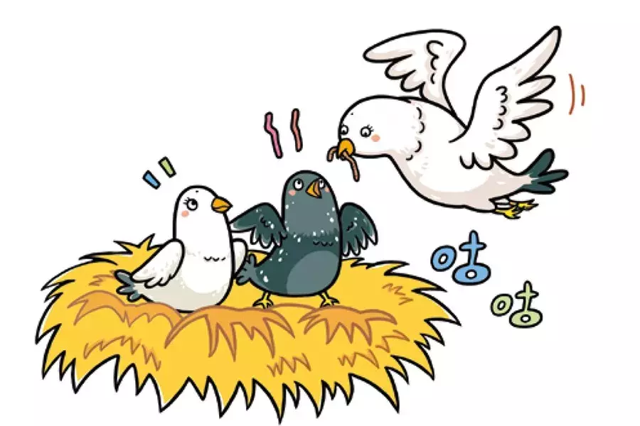 皮卡八哥读后感(皮卡的八哥之鬼蜻蜓读后感) _晶羽文学网