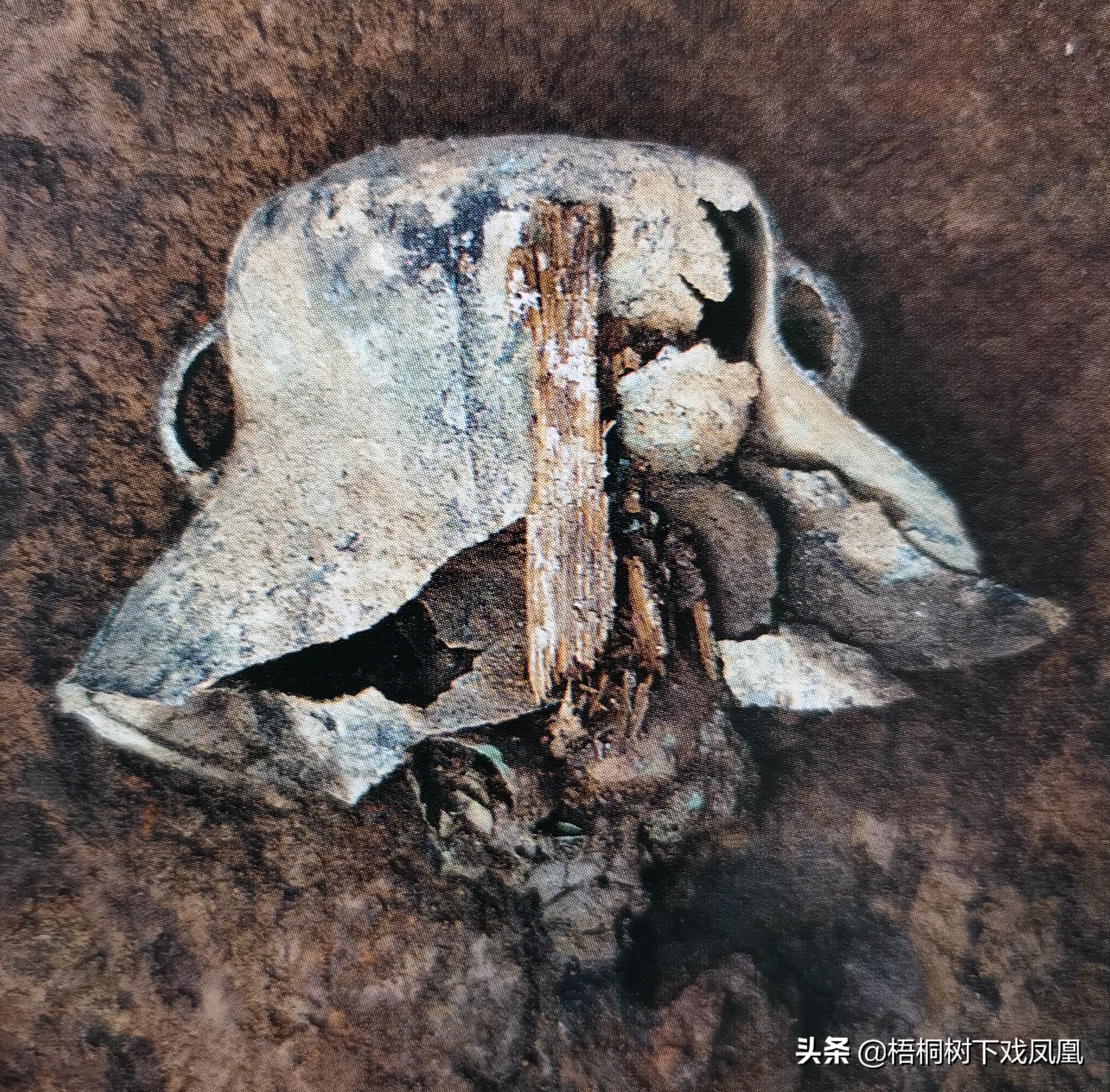 盗墓中发现的特殊葬俗，有的挺怕人，死者的头用“大锅”套起来