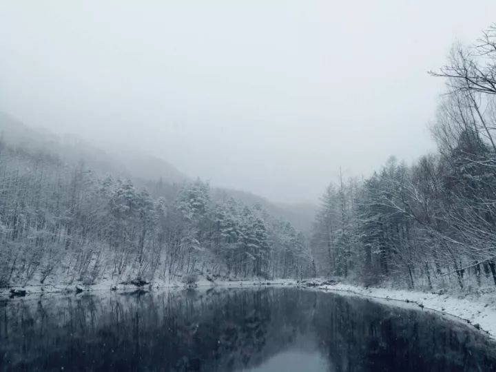 河南十大最高峰这三座5A景区各占一个，这个季节美成了林海雪原