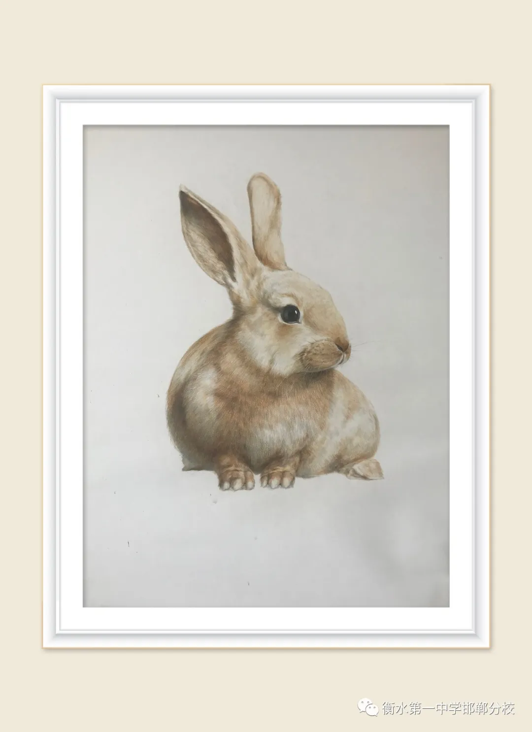 衡水一中邯郸分校｜2020美术特长生招生简章